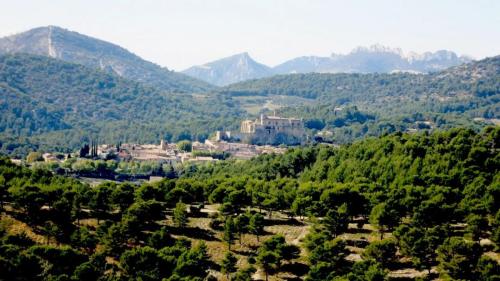 chapelle-du-Paty-14