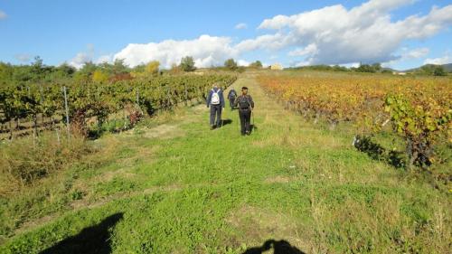 petite-balade-du-31-octobre-4