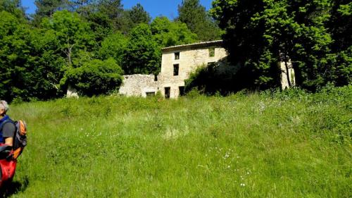 foret-de-Saou-06