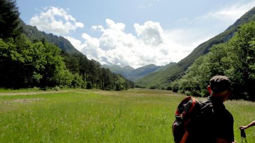 foret-de-Saou-10