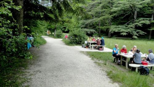 foret-de-Saou-12