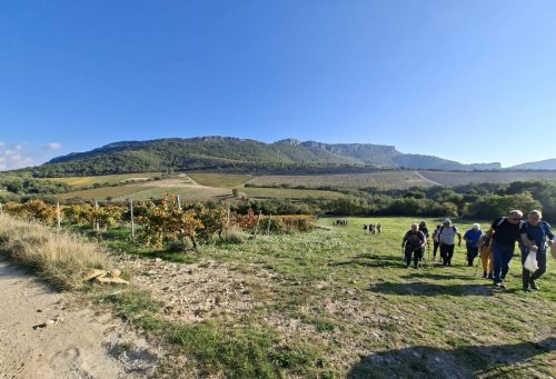 WhatsApp-Image-2025-10-14-a-19.57.29 9469b30c