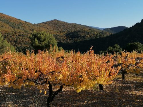 WhatsApp-Image-2025-11-04-a-18.43.56 4047961a