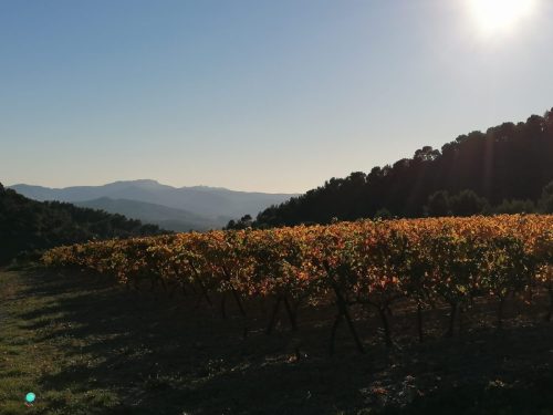 WhatsApp-Image-2025-11-04-a-18.46.26 57294335