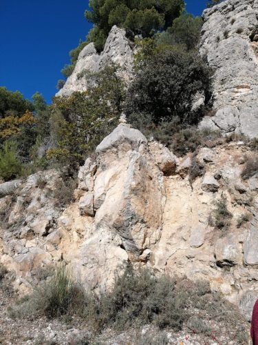 WhatsApp-Image-2025-11-04-a-18.46.27 4506dac6