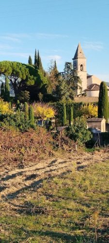 WhatsApp-Image-2025-11-11-a-17.19.14 27b211b5