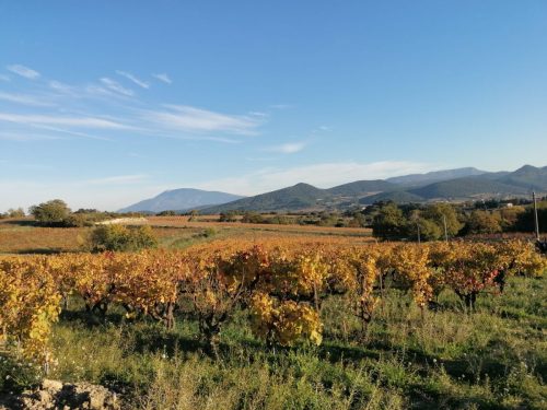 WhatsApp-Image-2025-11-11-a-19.39.36 4aefb0f9