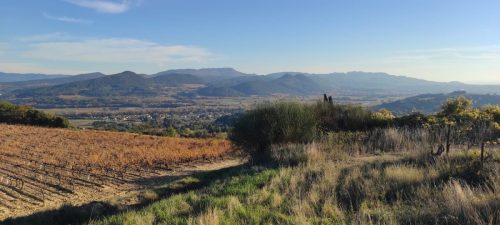 WhatsApp-Image-2025-11-13-a-17.40.49 3a40c68c