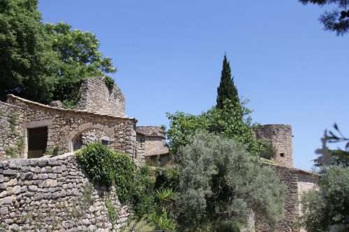 IMG 4352