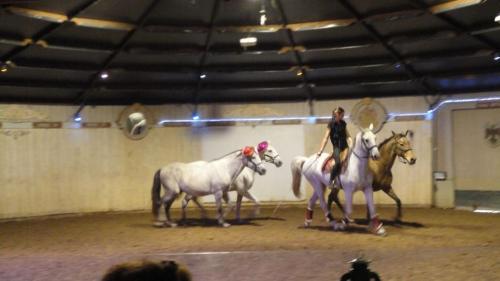 Mylords-Tarascon-34