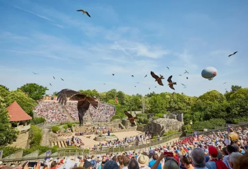 Bal-des-oiseaux-fantomes
