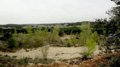 Etangs-St-Louis-16